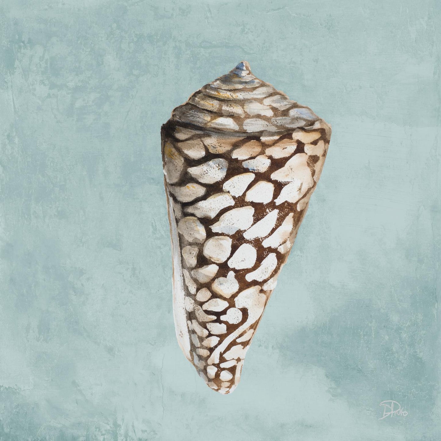 Modern Shell On Teal II By Patricia Pinto - Light Blue