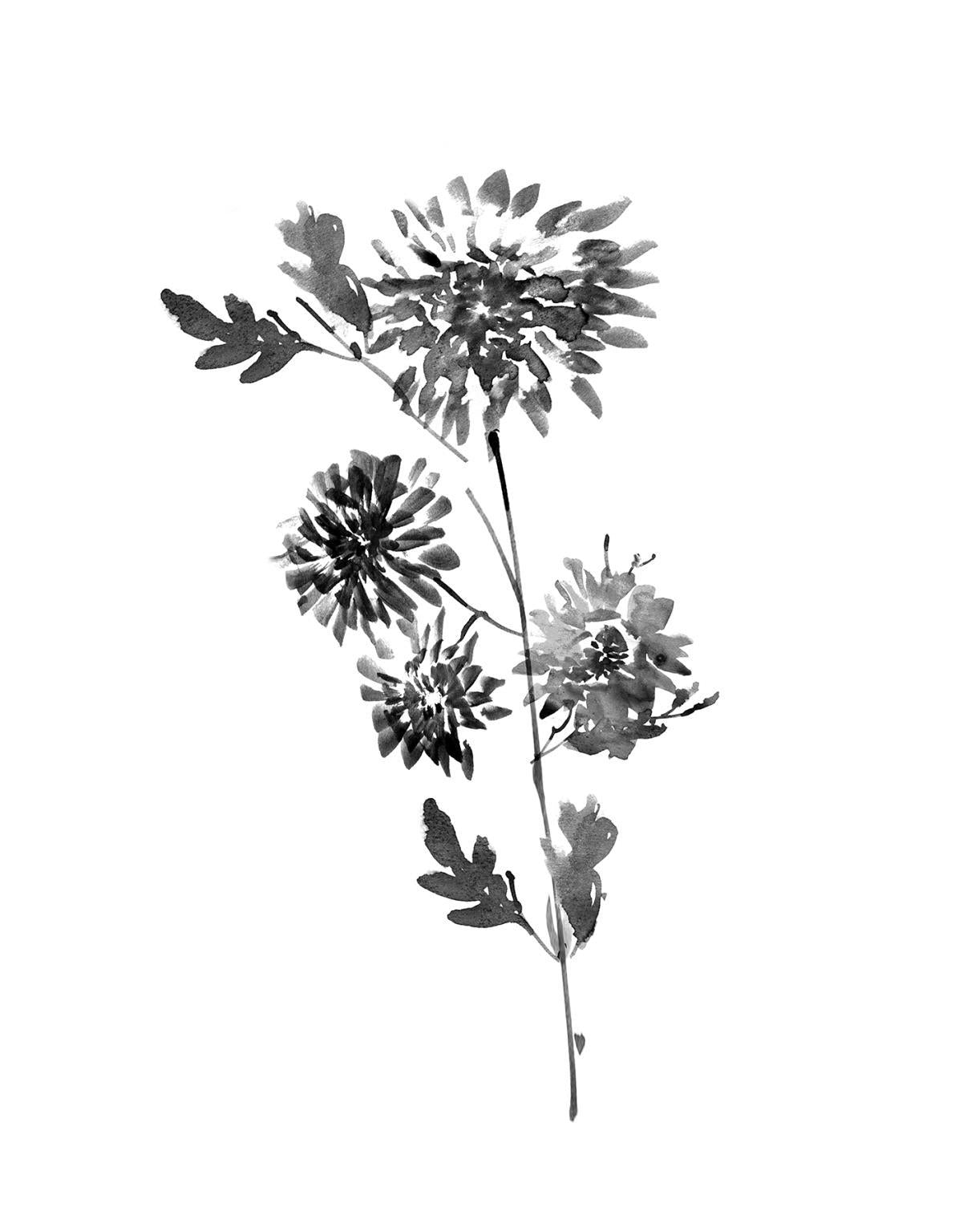 Small - Neutral Washed Botanical II By Conrad Knutsen