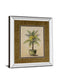 Potted Palm I - Mirror Framed Print Wall Art - Green