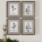 Casual Gray Study - Framed Art (Set of 4) - Beige