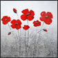 Hand Painted Textured Canvas Glitter In Frame Poppies 39 X 39