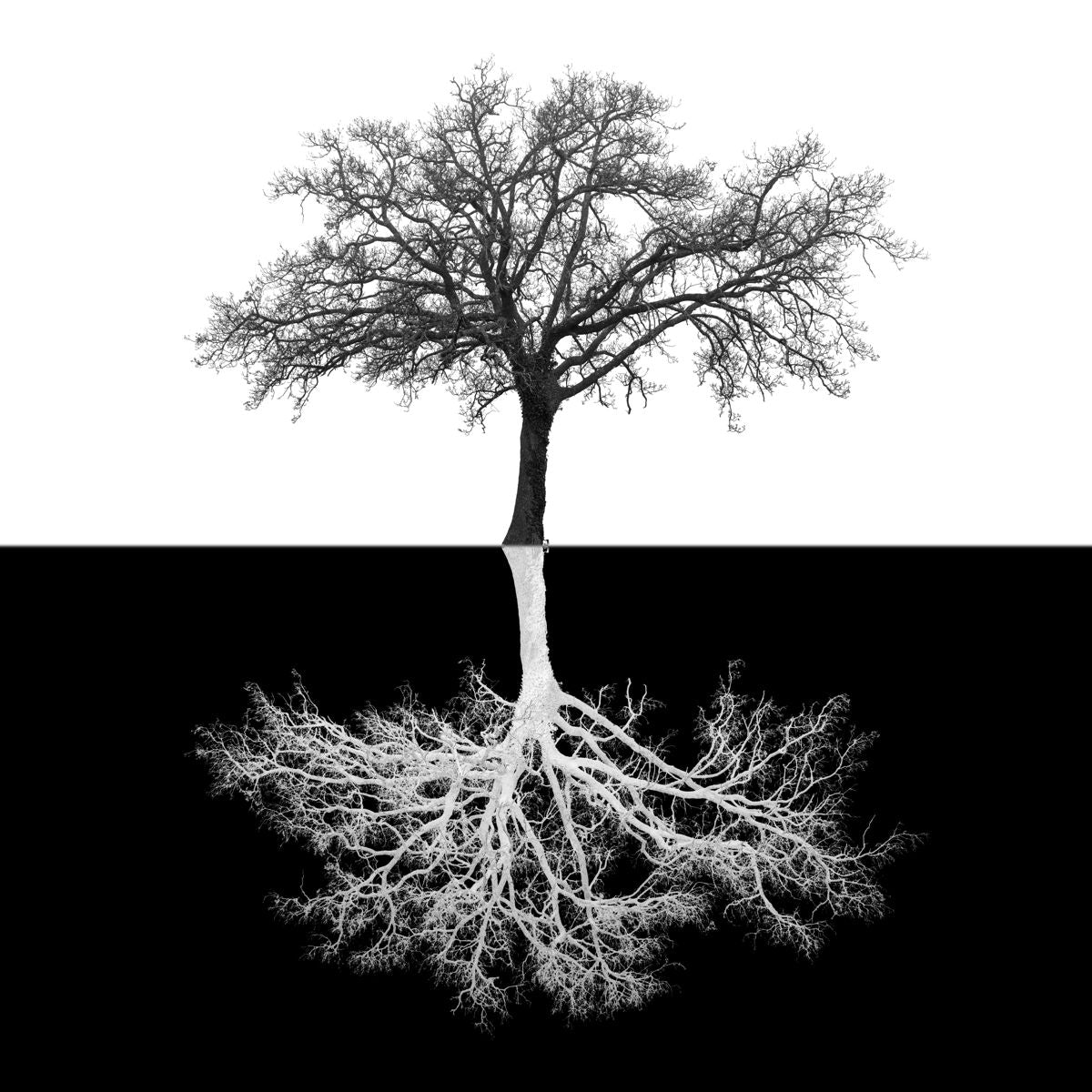 Small - Inverse Tree