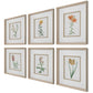 Classic Botanicals - Framed Prints (Set of 6) - Green