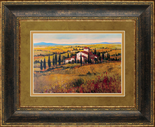 Tuscany III By Tim O'Toole - Framed Print Wall Art - Orange