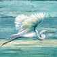 Great Egret I By Patricia Pinto - 50 x 50 Wall Art - Blue