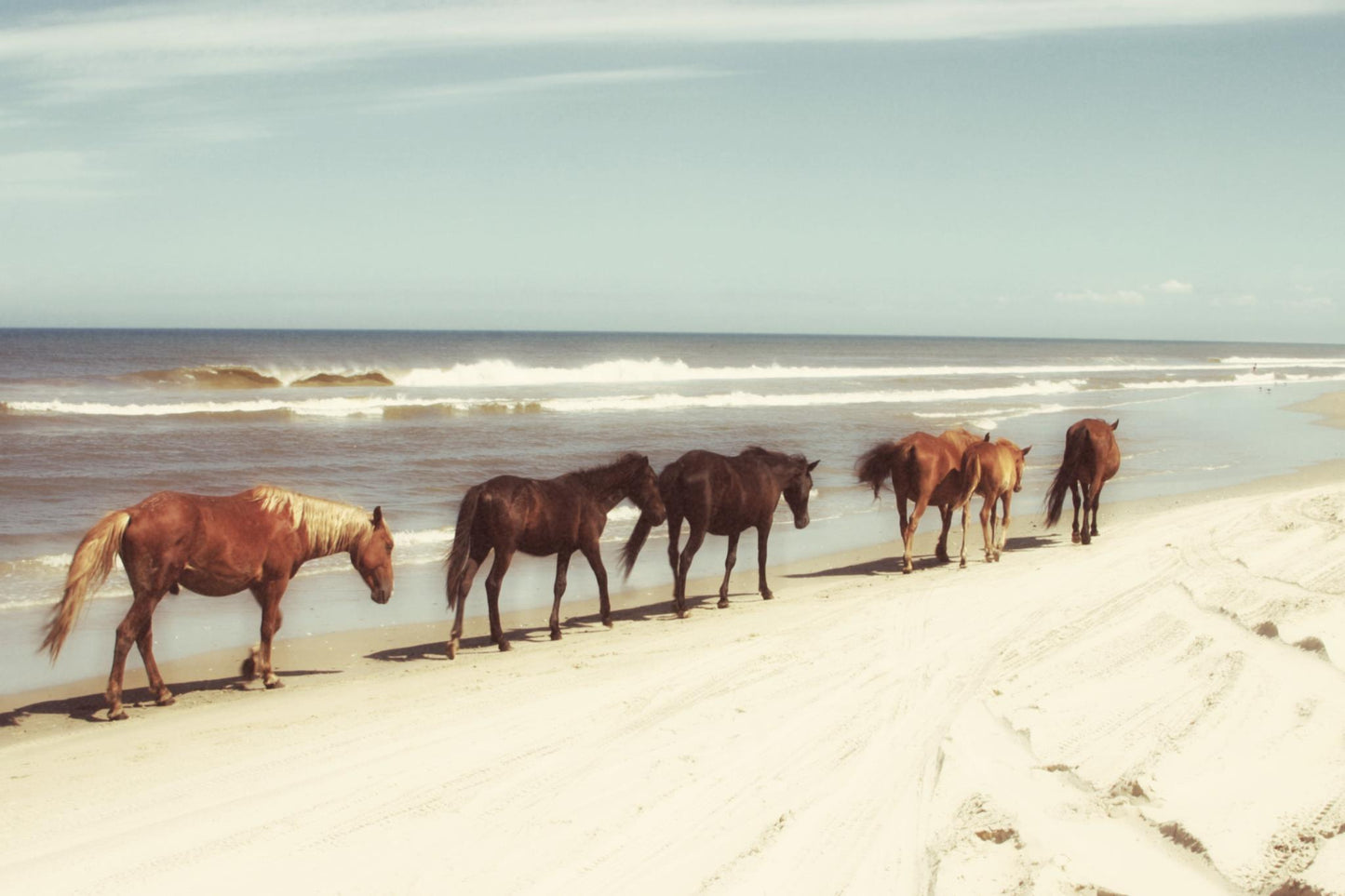Framed Small - Horses On The Beach By Kathy Mansfield