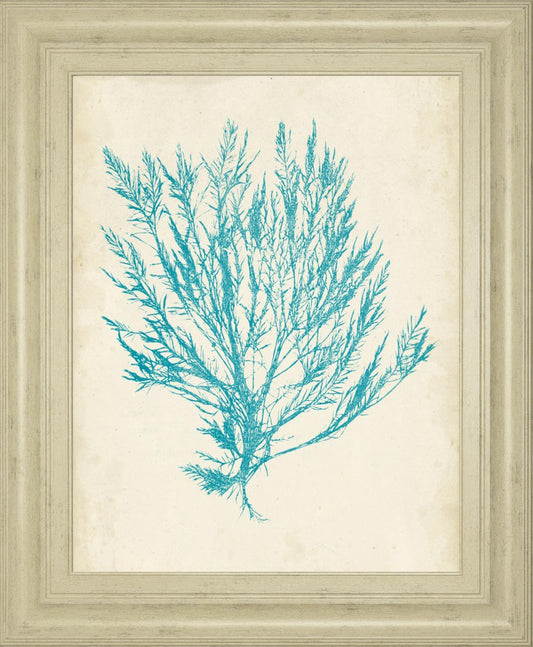 22x26 Aquamarine Seaweed IV By Vision Studio - Light Blue