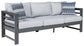 Amora - Charcoal Gray - Sofa With Cushion