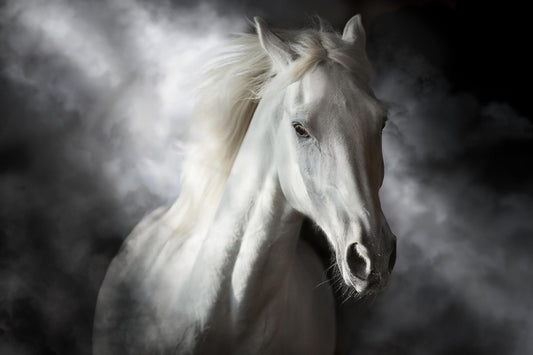 Tempered Glass With Foil - Mystical White Horse - Dark Gray