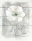 Framed Small - Farmhouse Rose I By Carol Robinson - Gray